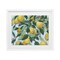Stupell Industries Summer Citrus Tree Framed Print Under Glass, design by June Erica Vess